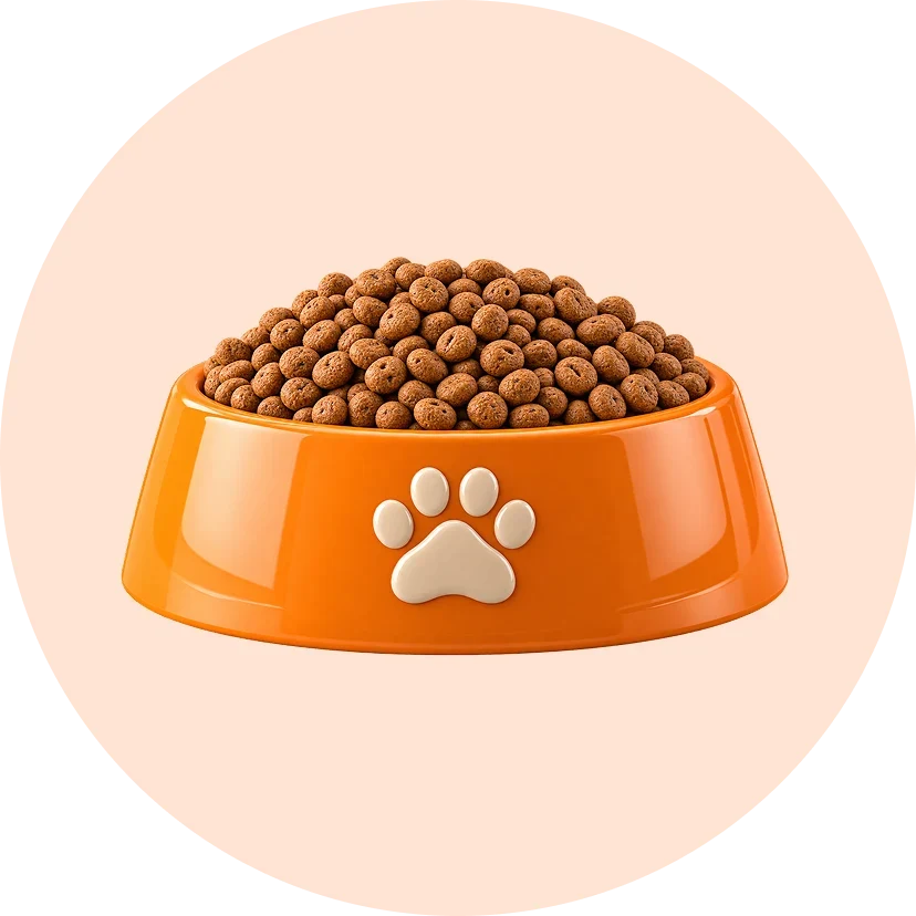 FOOD & TREATS